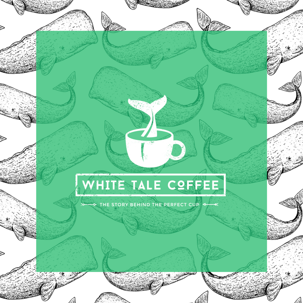 White Tale Coffee logo depicting the great white whale, Moby Dick, diving into a cup of coffee.